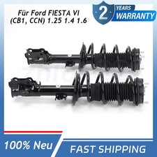 1Paar Federbein vorne Links