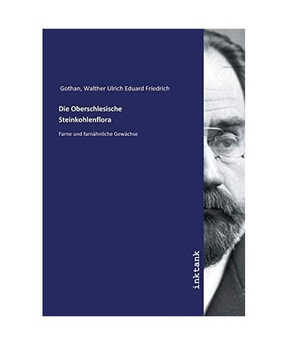 Die oberschlesische - die,