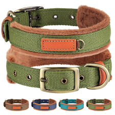 Hundehalsband Hund Halsband