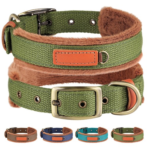 Hundehalsband hund halsband - hund,