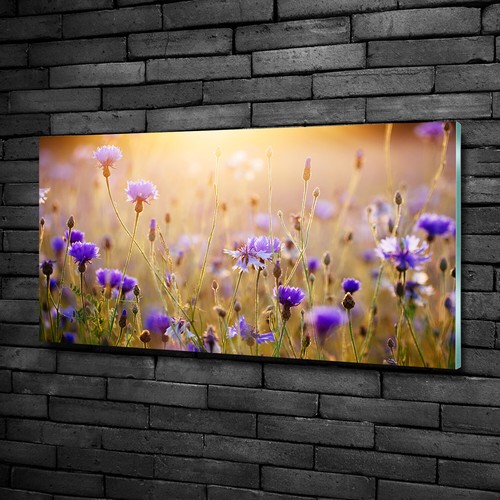 Acrylglas bild wandbilder - acrylglas-bild,