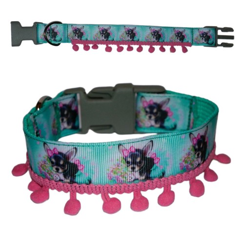 Hunde halsband - 🐾,