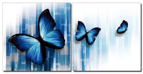 Bild blue butterfly - bild,