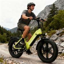 E Bike 20'' Elektrofahrrad 48V 20Ah 250W 25KM/H E-Mountainbike Gelände Fatbike