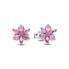 Pandora Timeless Funkelnde
