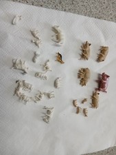 Konvolut Tiere, Schweine und