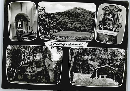 50560379 6255 dorndorf - -,