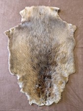 Biberfell Biber Nordamerika Trapper Kanada Biberpelz Castor Canadensis