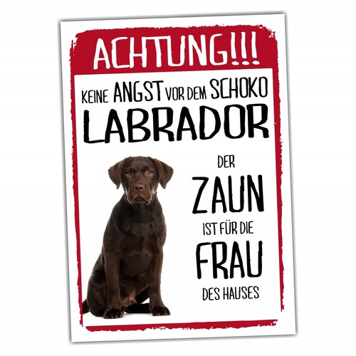 Labrador braun dog - braun, schild