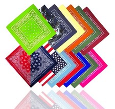 Bandana Paisley Maske Tuch