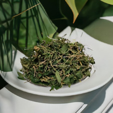 Jamaikanischer Bio Wildhunde Blutbusch | Kräutertee Fruchtbarkeit PCOS Gebärmutterreiniger