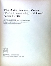 Arteries and Veins of the