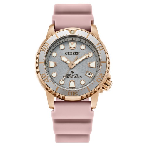 Citizen promaster dive - citizen,