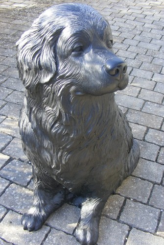 Hund russ von - hund, ottmar