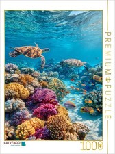 CALVENDO Puzzle Korallenriff