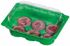 Victoria - Zimmergewächshaus 16x11x7 cm - Treibhaus - Aufzucht - Anzucht - 