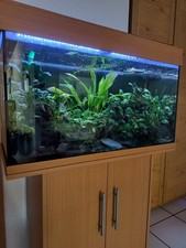 120 Liter Aquarium Komplett