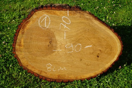 Baumscheibe holzscheibe - baumscheibe,