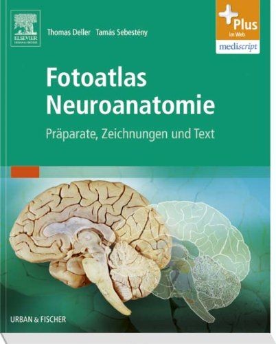 Fotoatlas neuroanatomie - fotoatlas,
