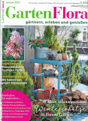 Garten flora gärtnern - garten,
