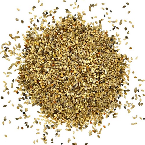 Exotenfutter finkenfutter - exotenfutter,