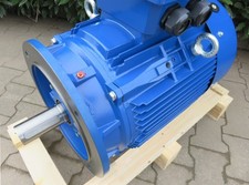 DWEMA Elektromotor Drehstrom