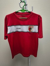 FC Augsburg Trikot, Saison