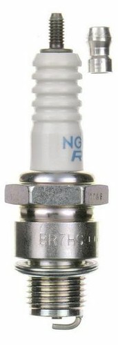 Ngk zündkerze für - ngk, motoren