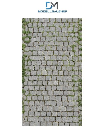 Gehweg moos diorama - moos, gras