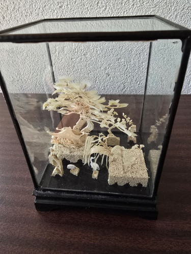 Glasvitrine miniatur diorama - glasvitrine, miniatur-diorama