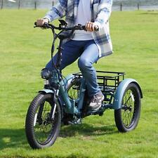 E-Bike Dreirad Elektro 3