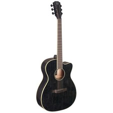 J.N Guitars YAK-ACFI