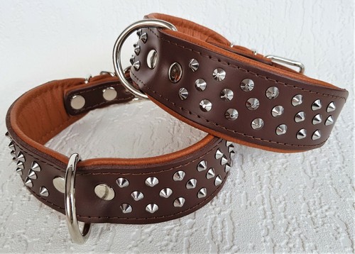 Hundehalsband nieten - ,