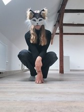 Wunderschöne husky hunde - husky,