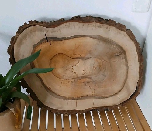 Xxl gestockte nussbaum - xxl,