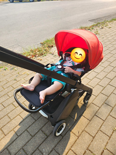 Reisebuggy handgepäck - -,