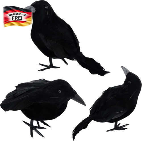 Halloween krähen dekorationen - halloween,
