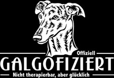 GALGO Autoaufkleber - Aufkleber Galgo - Schriftzug Galgo infiziert - sticker