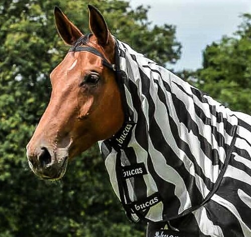 Bucas buzz off zebra - bucas, halsteil