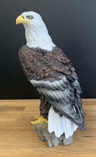 Weisskopfadler adler cm - 40,