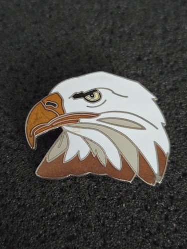 Weißkopfseeadler - ➔,