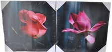 2-Set Bilder Rose - Wandbild auf Echtholz-Keilrahmen