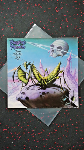 Praying mantis time tells no - praying,