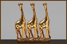 - AFRIKA KULT- Giraffen