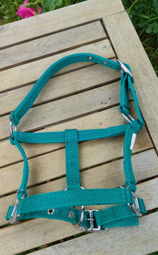 Fohlenhalfter mini shetty - fohlenhalfter,