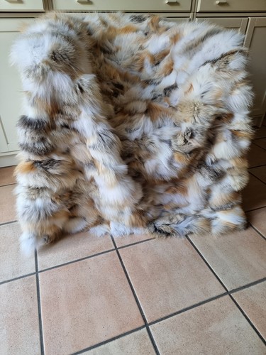 Golden island fuchs fox - golden,