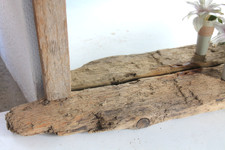 Spiegel  Schwemmholz Treibholz