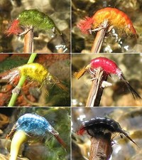 Gilchrist Fliegen. 3 x BACHFLOHKREBSE / SHRIMPS. Farbe und Größe zur Auswahl