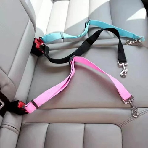 Auto sicherheitsgurt hund - auto,