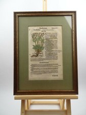 Original Holzschnitt Blatt